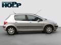 Peugeot 307 110 Tendance Argent - thumbnail 10