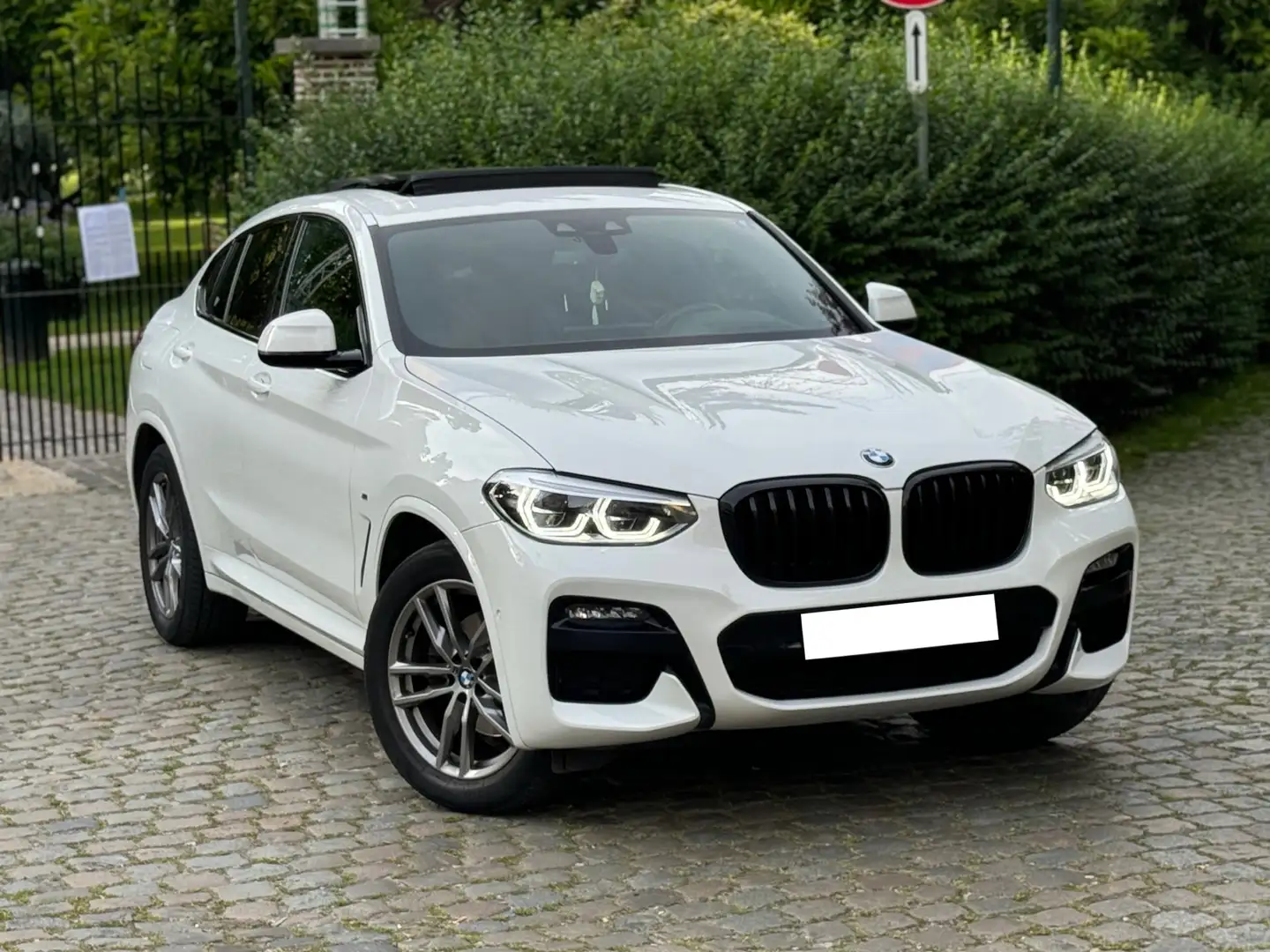 BMW X4 2.0iA xDrive20 OPF (EU6AP) - 1