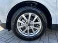 Ford Tourneo Courier 1.0 ecob. 125 cv Titanium 5P. - KM 0 Bianco - thumbnail 15