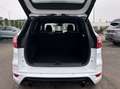 Ford Kuga Kuga 1.5 EcoBoost 4x4 Aut. ST-Line Blanc - thumbnail 15