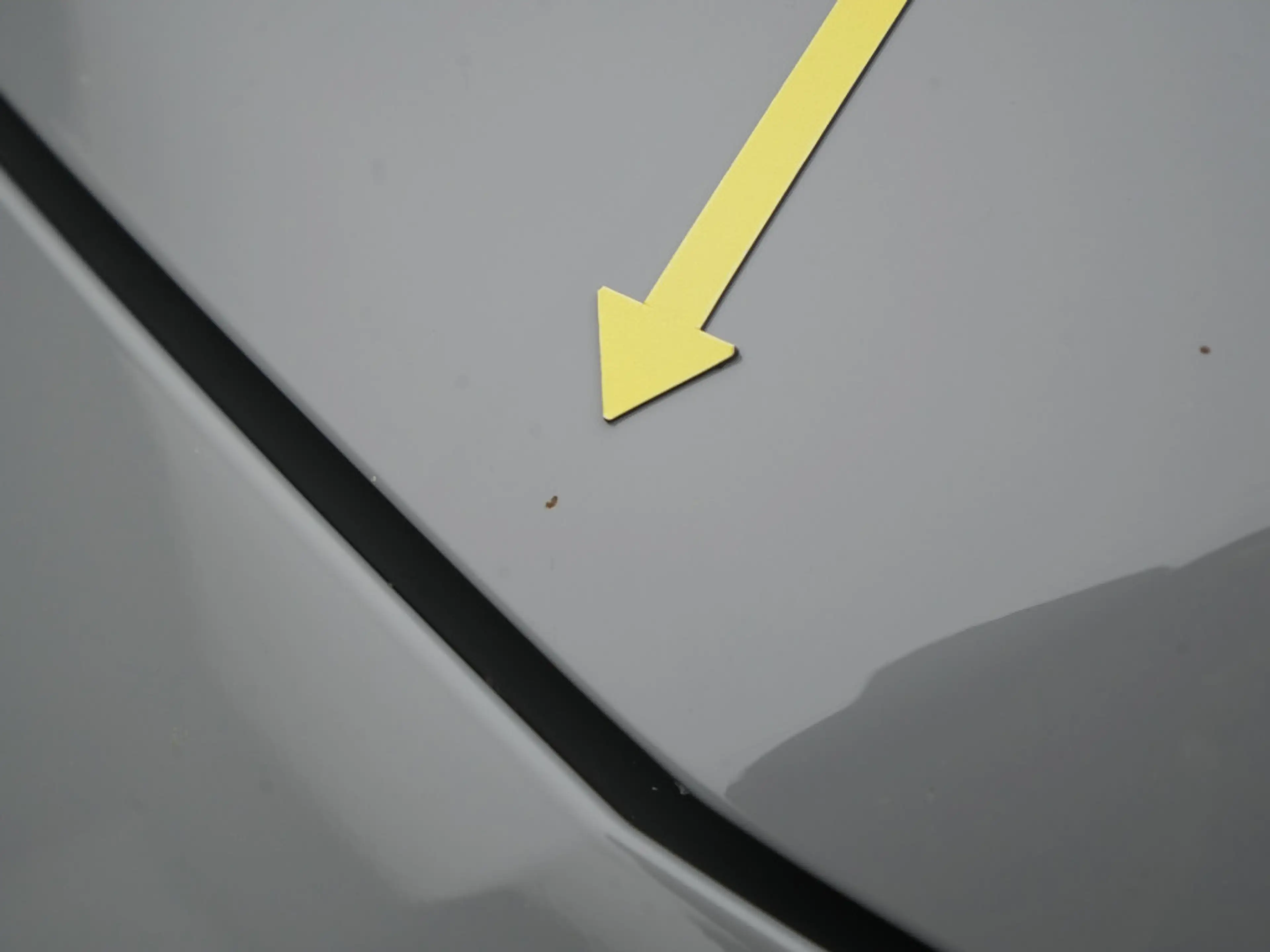 Ford Puma ST-Line X 155PS/Komfort- & Winter-Paket — photo 23