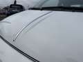 Fiat 500 C 1.0 GSE Hybrid Dolcevita Blanc - thumbnail 11