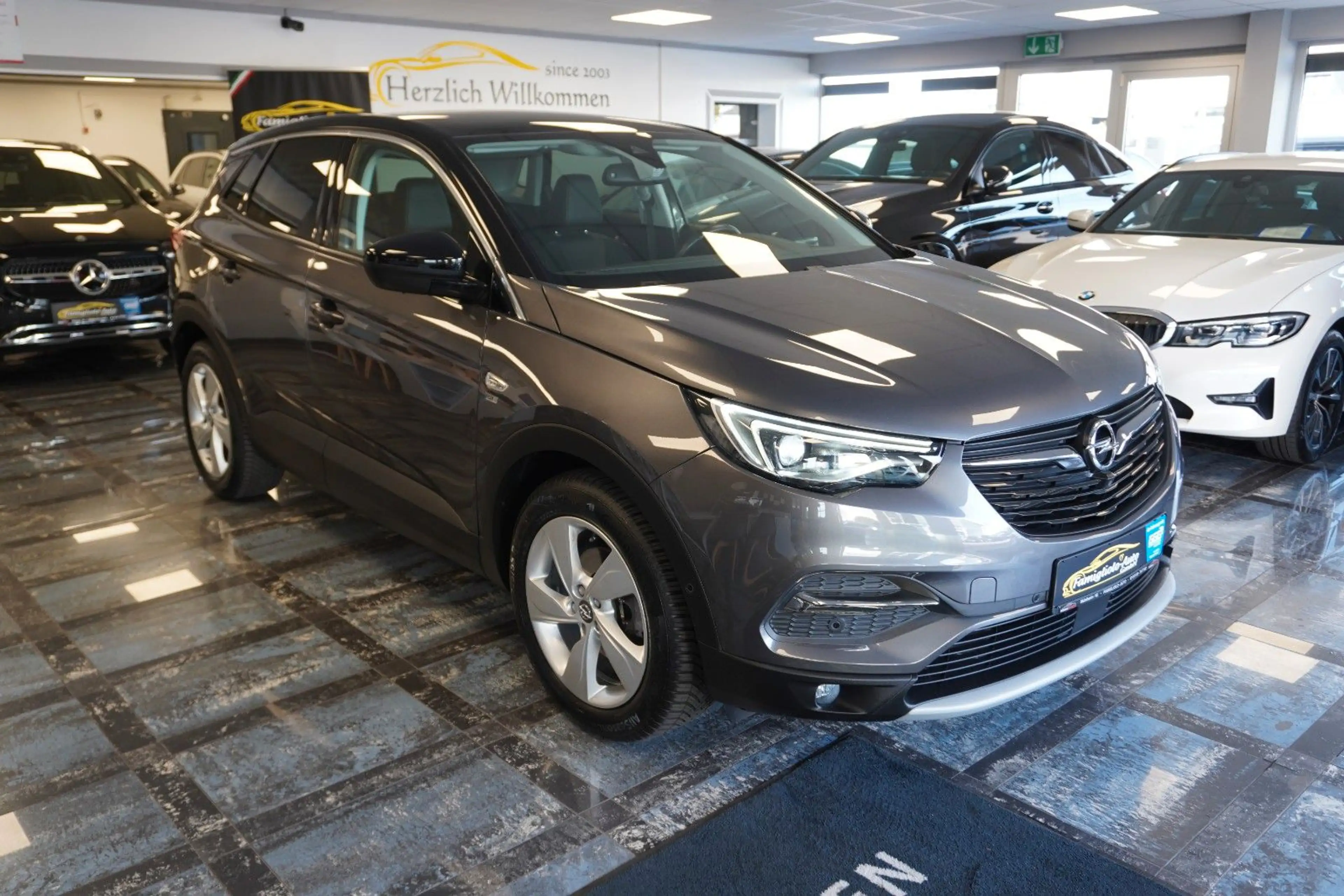 Opel Grandland X 120 Jahre/Ambiente/AHK/Panormadach — photo 7