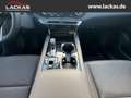 Lexus RX 450h +*4x4*F-SPORT D*360°KAM*PANO*15J.GARANTIE* Grau - thumbnail 14