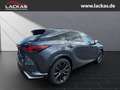 Lexus RX 450h +*4x4*F-SPORT D*360°KAM*PANO*15J.GARANTIE* Grau - thumbnail 5