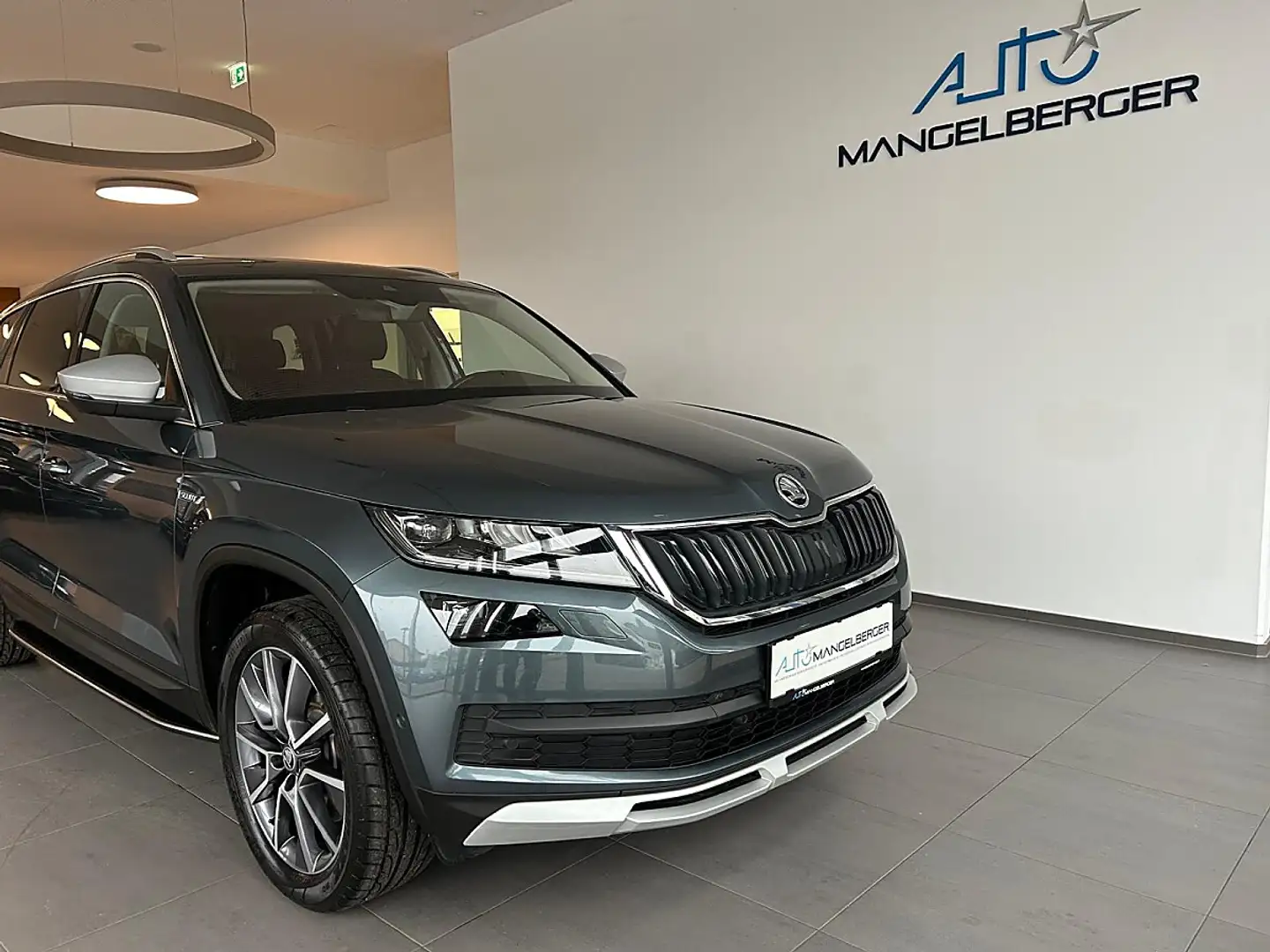 Skoda Kodiaq 2,0 TDI SCR 4x4 Scout DSG, Memory Sitz, Open Ai... Gris - 1