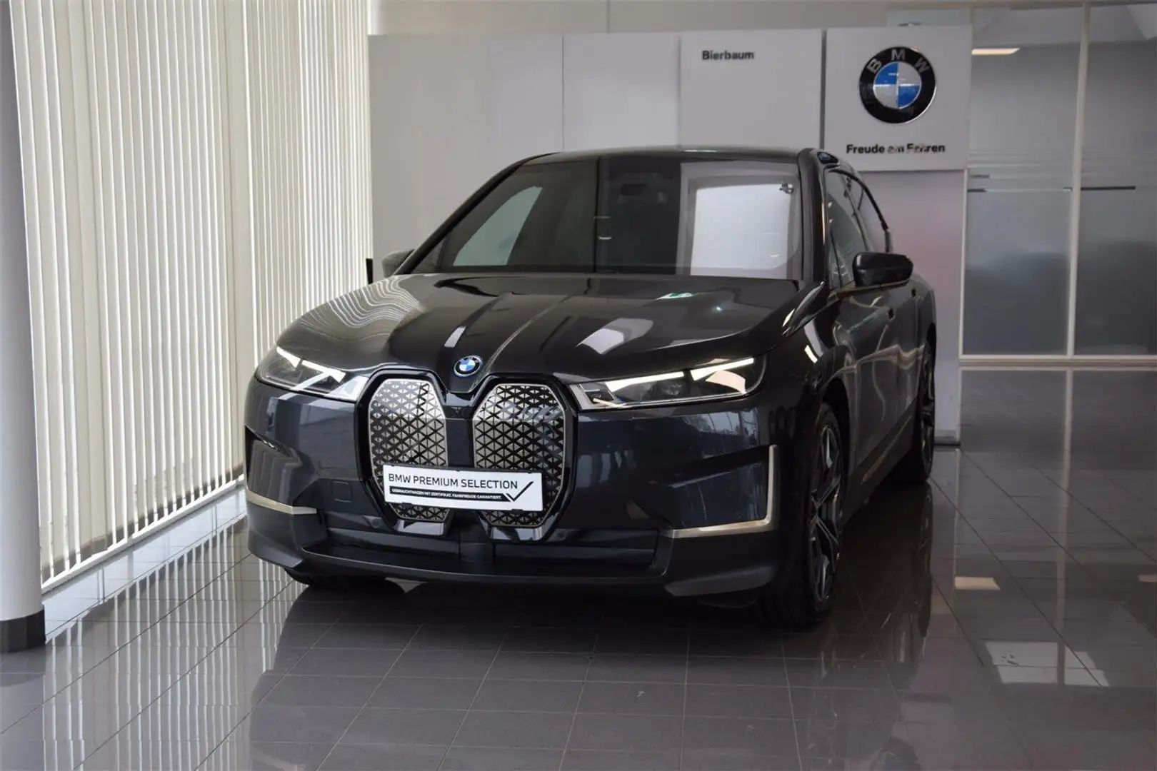 BMW iX xDrive40 Grau - 2