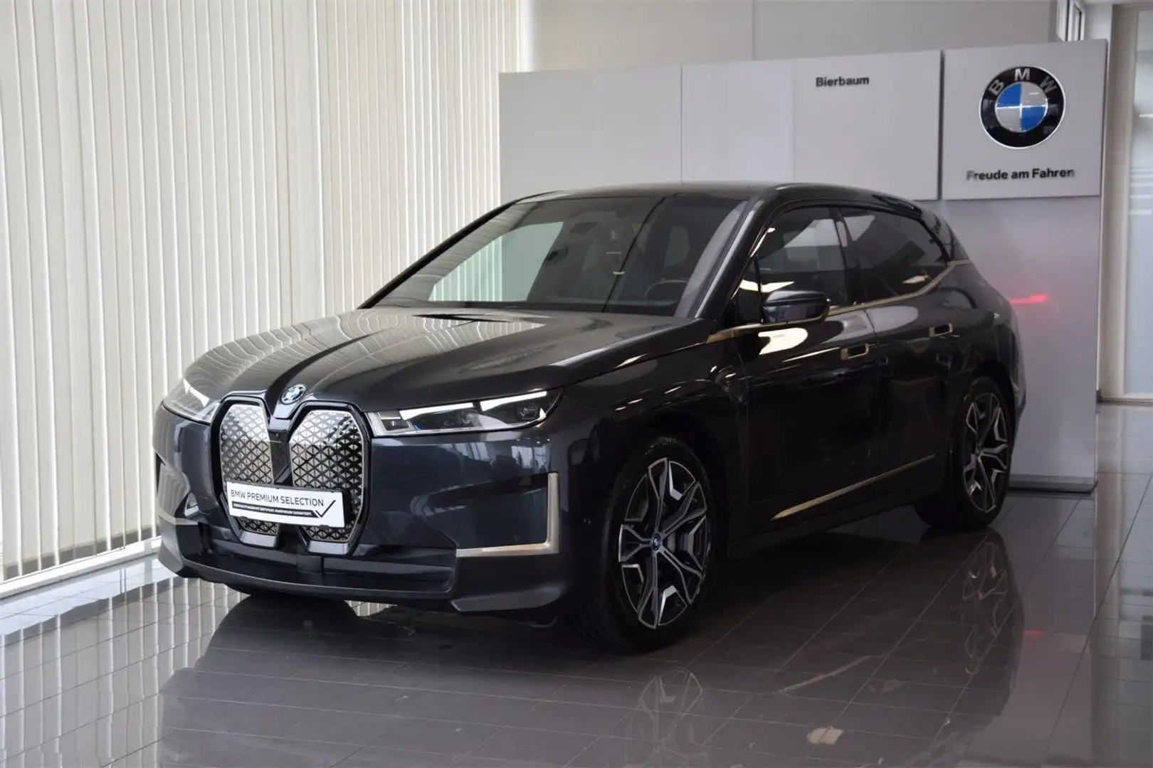 BMW iX xDrive40 Grau - 1