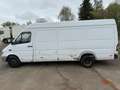 Mercedes-Benz Sprinter 416 maxii FRIGO demarre et roule super White - thumbnail 5