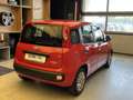 Fiat New Panda 1.0 FireFly Hybrid Roşu - thumbnail 4