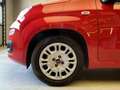 Fiat New Panda 1.0 FireFly Hybrid Roşu - thumbnail 11