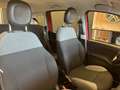 Fiat New Panda 1.0 FireFly Hybrid Roşu - thumbnail 12