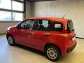 Fiat New Panda 1.0 FireFly Hybrid Roşu - thumbnail 7