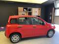 Fiat New Panda 1.0 FireFly Hybrid Roşu - thumbnail 8