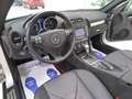 Mercedes-Benz SLK 350 V6 "Condizioni Impeccabili" Solo 51.000 Km!!!" Argento - thumbnail 12