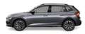 Skoda Kamiq Selection Klimaautomatik Voll-LED-Scheinwerfer ... - thumbnail 1