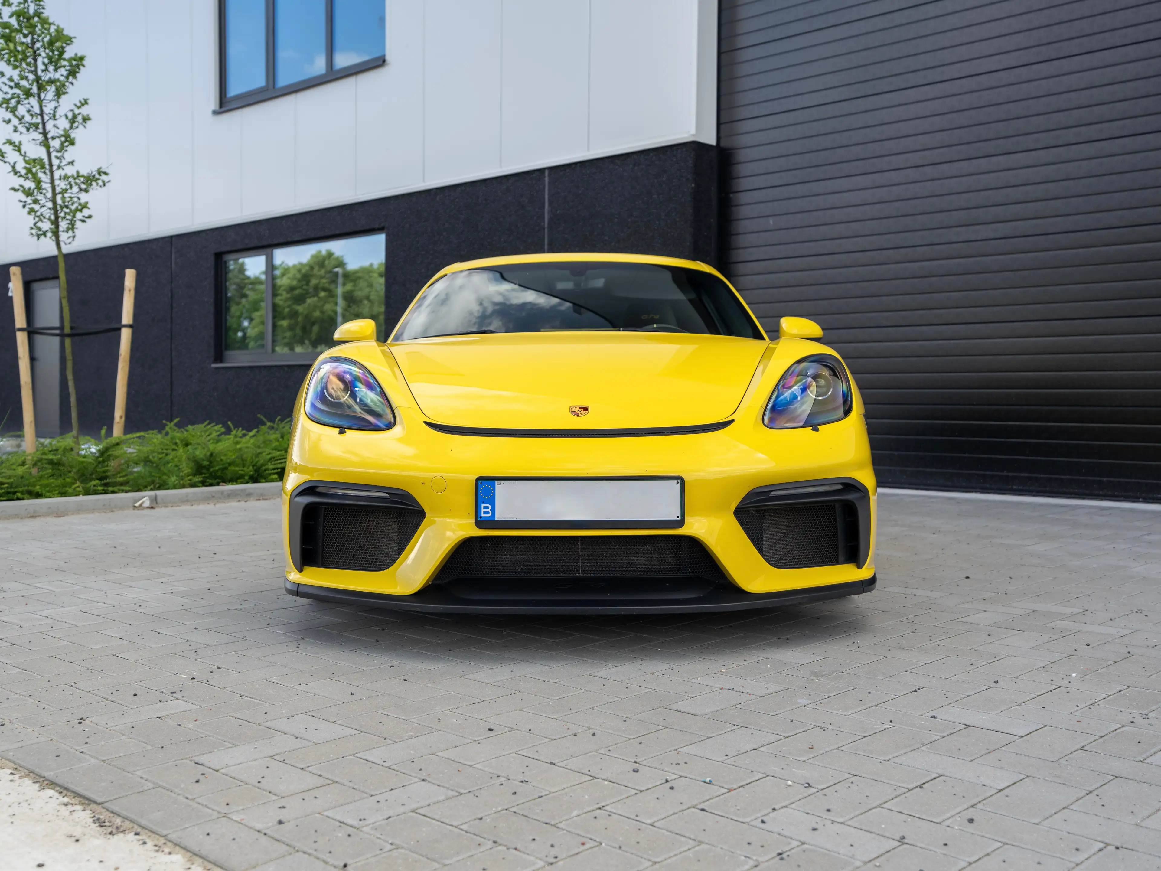 Porsche 718 718 Cayman GT4 PDK - LED - CARBON — photo 10