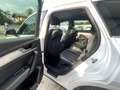 Audi Q5 Q5 2.0 TDI 190CV Quattro Stronic Sline plus Bianco - thumbnail 10
