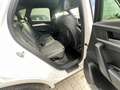 Audi Q5 Q5 2.0 TDI 190CV Quattro Stronic Sline plus Bianco - thumbnail 11