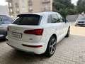 Audi Q5 Q5 2.0 TDI 190CV Quattro Stronic Sline plus Bianco - thumbnail 5