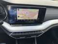 Skoda Octavia Combi 2.0 TDI First Edition+Canton+Kessy Blu/Azzurro - thumbnail 14