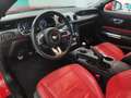 Ford Mustang Fastback 5.0 Ti-VCT GT Rojo - thumbnail 7