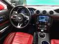 Ford Mustang Fastback 5.0 Ti-VCT GT Rojo - thumbnail 14