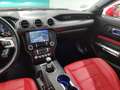 Ford Mustang Fastback 5.0 Ti-VCT GT Rojo - thumbnail 27