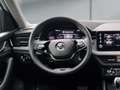 Skoda Kamiq -24% 1.0 TSI 115cv BVA +MIRRORLINK+CAM+Options Beige - thumbnail 9
