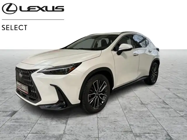 Lexus NX 300h 2.5 Hyb PRIVILIGE LINE 2.5 CVT