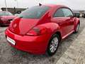 Volkswagen Beetle 1.2 TSI Design_NAVI_Tempomat_Klimaautomatik Rot - thumbnail 5