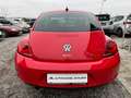 Volkswagen Beetle 1.2 TSI Design_NAVI_Tempomat_Klimaautomatik Rot - thumbnail 4