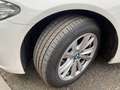 BMW 520 520 d xDrive Automatik El. Panorama Weiß - thumbnail 20