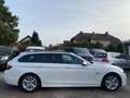 BMW 520 520 d xDrive Automatik El. Panorama Weiß - thumbnail 4