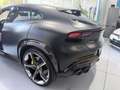 Ferrari Purosangue 6.5 Negro - thumbnail 41