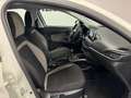 Fiat Tipo 5p 1.3 mjt 95CV LOUNGE UNIPROP PERFETTA NEOPATENT Bianco - thumbnail 13