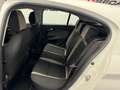 Fiat Tipo 5p 1.3 mjt 95CV LOUNGE UNIPROP PERFETTA NEOPATENT Bianco - thumbnail 11