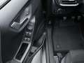 Ford Puma Titanium 125PS/Winter-Paket/LED/Klima Grau - thumbnail 20