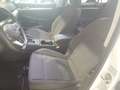 Volkswagen Golf VIII Variant 1.5 TSI Life OPF+SHZ+USB+DAB+ Klima Weiß - thumbnail 5