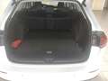 Volkswagen Golf VIII Variant 1.5 TSI Life OPF+SHZ+USB+DAB+ Klima Weiß - thumbnail 7