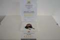 Fiat Doblo 1.3 MJT Cargo Uniprop. Certificato Bianco - thumbnail 15