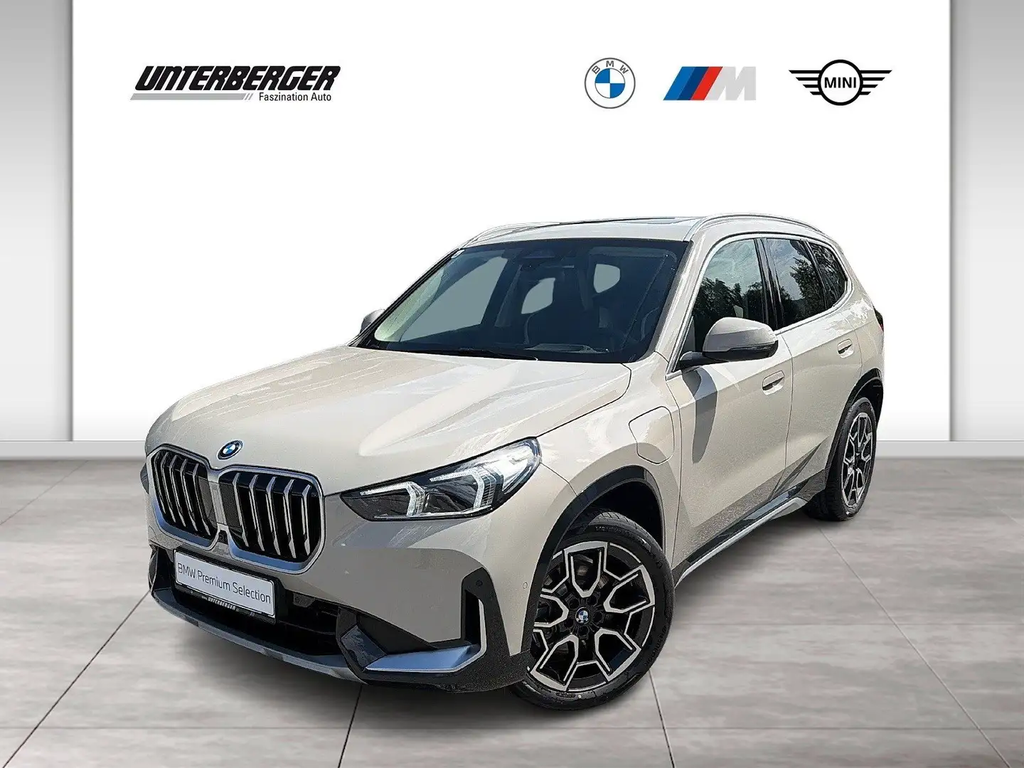 BMW X1 xDrive25e Innovations Paket | xLine Grau - 1