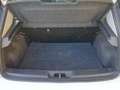 Fiat Punto Evo Punto Evo 5p 1.4 natural power Dynamic 70cv Wit - thumbnail 16
