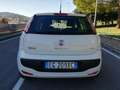 Fiat Punto Evo Punto Evo 5p 1.4 natural power Dynamic 70cv Bianco - thumbnail 7
