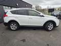 Toyota RAV 4 Rav 4 124 D-4D FAP 4x2 Stop \u0026 Start  2013 Life PHASE 1 Weiß - thumbnail 8