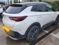 Opel Grandland X 1.5 ecotec 2020 s&s 130cv - thumbnail 5