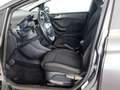 Ford Fiesta 1.0 EcoBoost Hybrid Titaium 125 cv Grigio - thumbnail 5