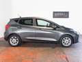 Ford Fiesta 1.0 EcoBoost Hybrid Titaium 125 cv Grigio - thumbnail 3