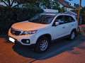 Kia Sorento Sorento 2.2 CRDi 4WD Aut. Spirit Beige - thumbnail 2