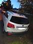 Kia Sorento Sorento 2.2 CRDi 4WD Aut. Spirit Beige - thumbnail 5